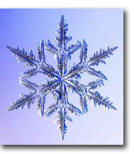 {snow} Snow crystal © Kenneth Libbrecht (Caltech)