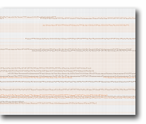 Extrait du chromosome humain 20 © Ben Fry, Computation Group MIT Media Lab