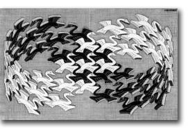 M. C. Escher, Swans (1956)